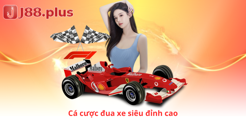 Cá cược đua xe siêu đỉnh cao