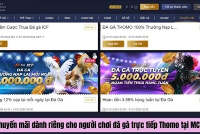 Đặt Cược Đá Gà Trực Tiếp Thomo Hấp Dẫn Tại Trang Đá Gà Trực Tiếp MCW