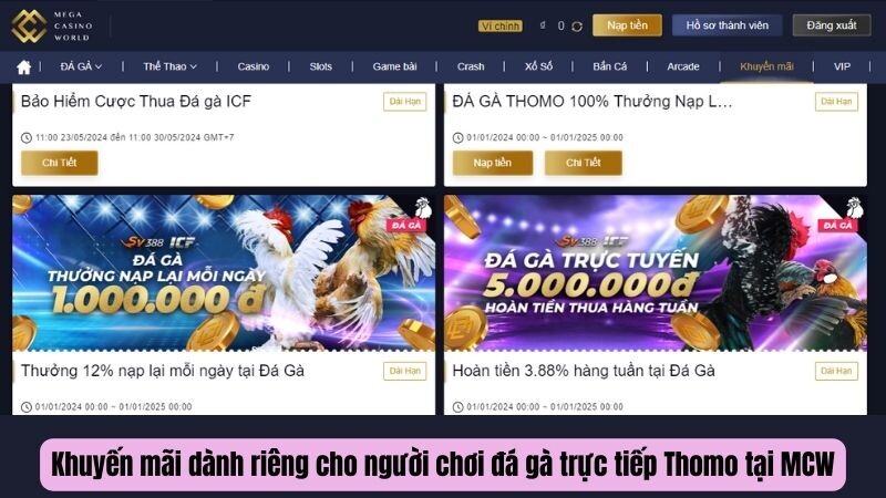 Khuyến mãi dành riêng cho người chơi đá gà trực tiếp Thomo tại MCW